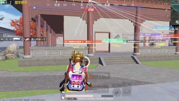 和平精英《向日葵》外挂